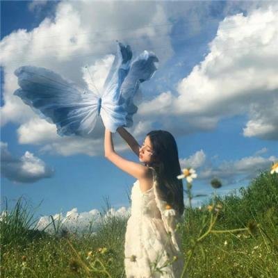 寒枝折不断